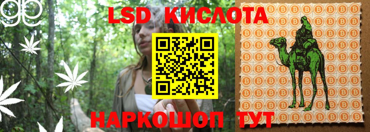 Наркотические марки 1,5мг  Вход с VPN  Карпинск 