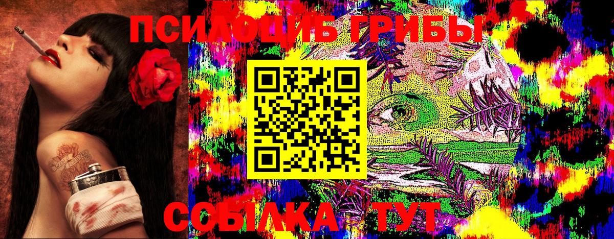 Псилоцибиновые грибы MAGIC MUSHROOMS Карпинск